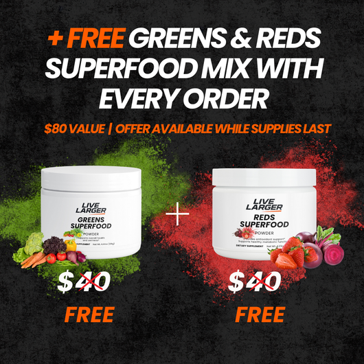 The Burn Box Bundle