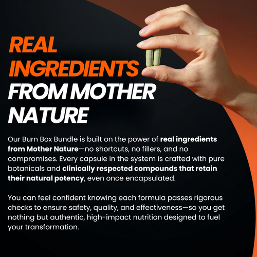 The Burn Box Bundle