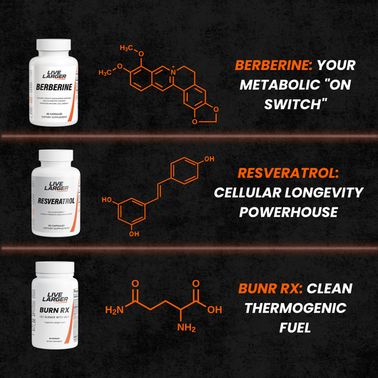 The Burn Box Bundle